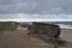 IMG_4573