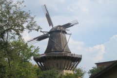 IMG_8594