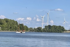 IMG_7457