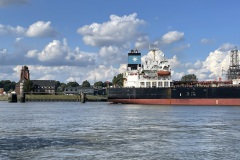 IMG_7458