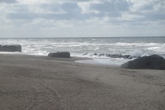 IMG_1054