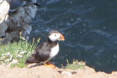 image016