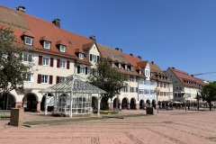 IMG_5386