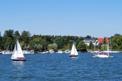 IMG_4563