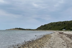 IMG_0518