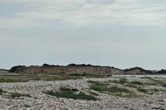 IMG_0520