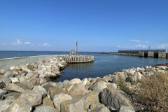 IMG_9486
