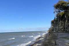 IMG_4616