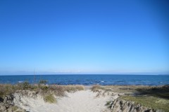 IMG_6439
