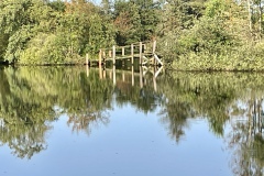 IMG_E3384