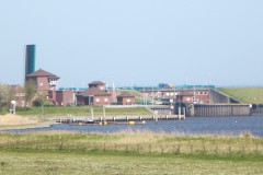 IMG_6743