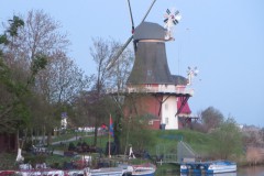 IMG_6719