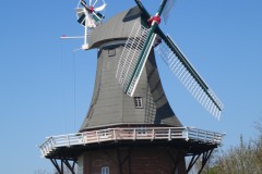 IMG_6796