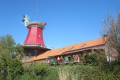 IMG_6797