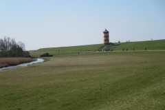 IMG_6731