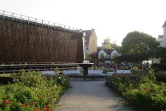 IMG_6805
