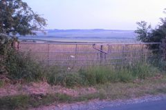 image009