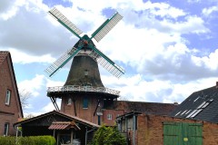 IMG_0546