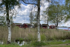 IMG_0550