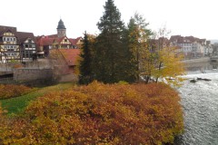 IMG_5920