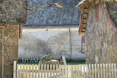 IMG_0161
