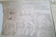 IMG_3907