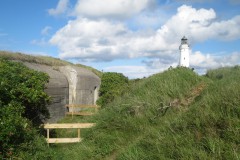 IMG_1401