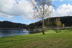 IMG_4628