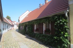 IMG_8096