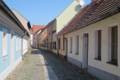 IMG_8098