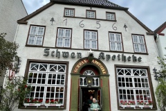 IMG_E3790