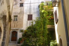 P1040490