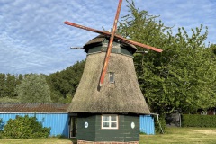 IMG_7781