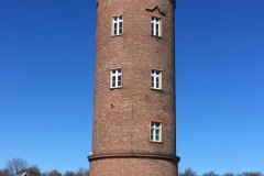 IMG_2553