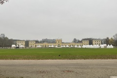 IMG_5849