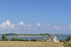 IMG_9439