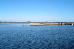 IMG_6503