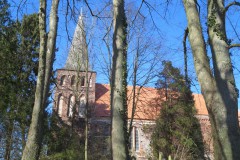 IMG_6530