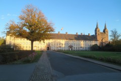 IMG_5774