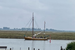 IMG_E4894