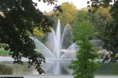 IMG_6811