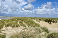 IMG_E3646