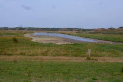 P1050781