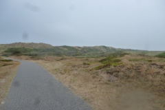 P1050733