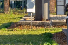 20190819_182534