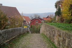 IMG_5975