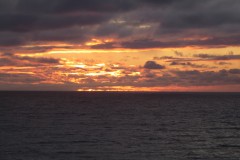 IMG_1231