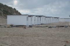 IMG_1290