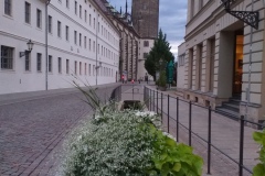 20190818_202505