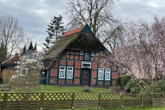 IMG_0309